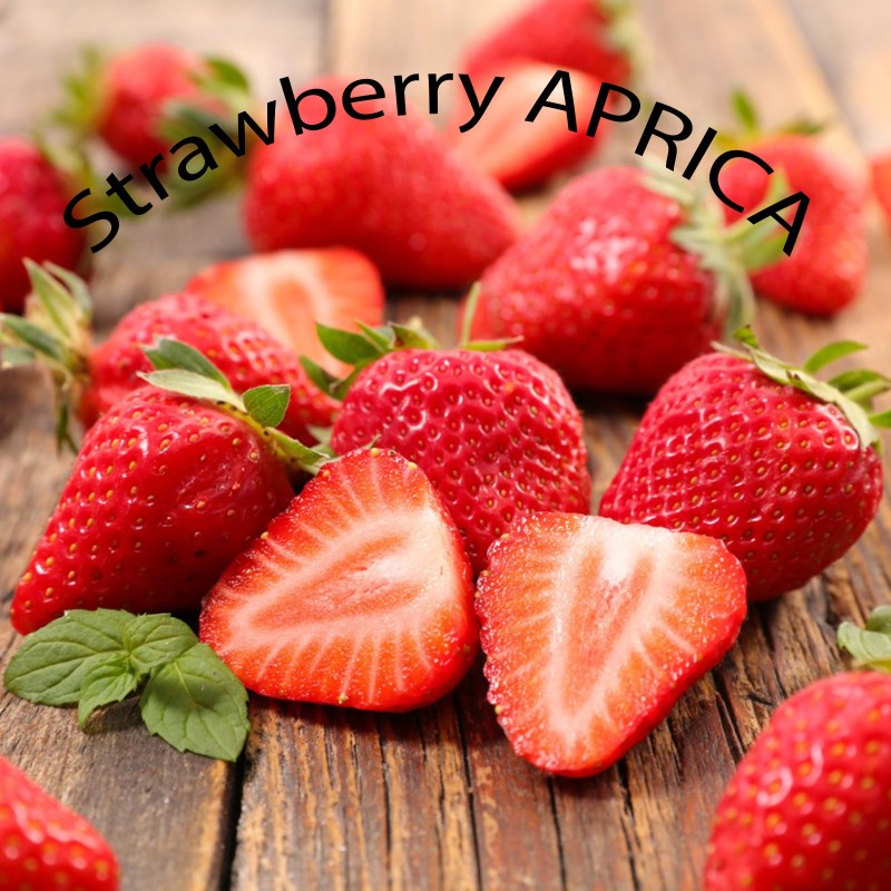 Sementes de morango APRICA | Seeds Shop Store