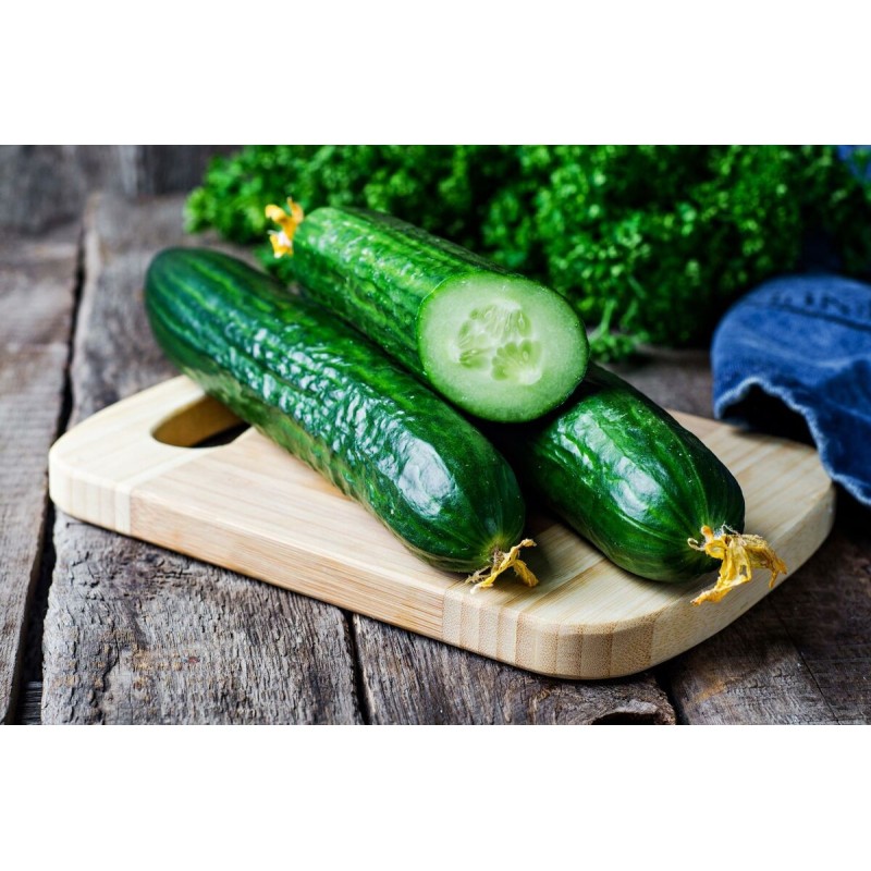 Semillas de pepino Sprinter | Seeds Shop Store