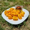 Habanero rote, gelbe, orange Samen | Seeds Shop Store