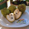 Atemoya Seeds (Annona × cherimoya) | Seeds Shop Store