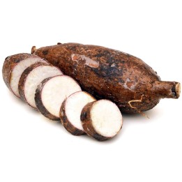 Semi di Manioca, Cassava, Yuca (Manihot esculenta) - 6.3
