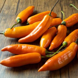 Aji Amarillo Chili Samen - 1.935