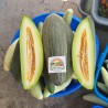 Giant Armenian reticulate Cucumber Melon seeds | Seeds Shop Store