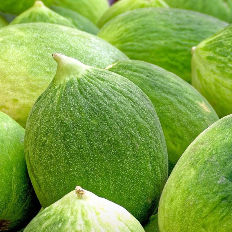 Cucumber Melon Seeds - Carosello Barattiere | Seeds Shop Store