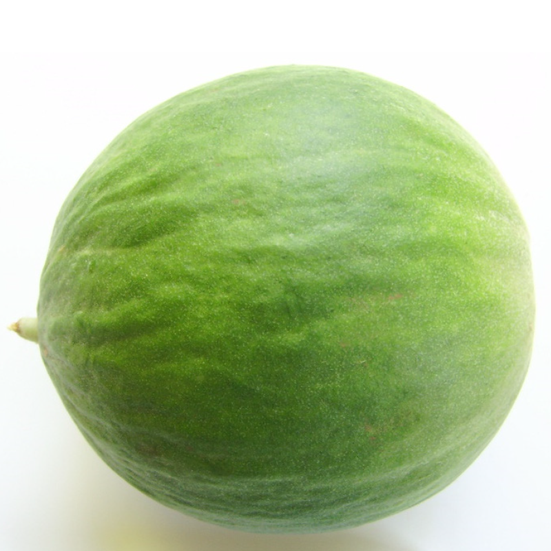 Cucumber Melon Seeds - Carosello Barattiere | Seeds Shop Store