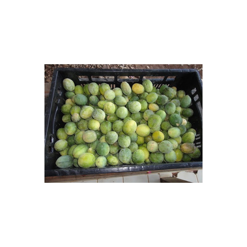 SURURUCA Seeds (Passiflora setacea) | Seeds Shop Store