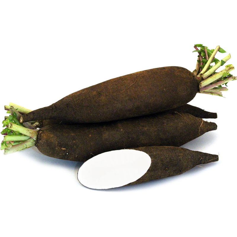 Sementes de Beterraba montanha negra | Seeds Shop Store