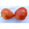 Eagle Heart Siberian Tomato Seeds | Seeds Shop Store