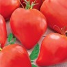 Eagle Heart Siberian Tomato Seeds | Seeds Shop Store