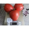 Eagle Heart Siberian Tomato Seeds | Seeds Shop Store