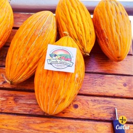 ARGITIKO Greek Melon Seeds - 2.07