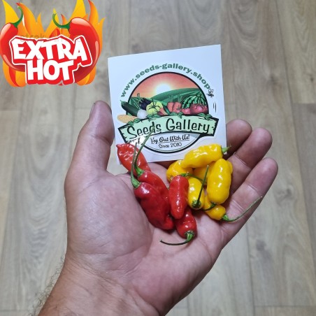 Semillas de pimiento - ají Dragon Fire | Seeds Shop Store