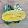 Watermelon seeds Yellow Banana | Seeds Shop Store