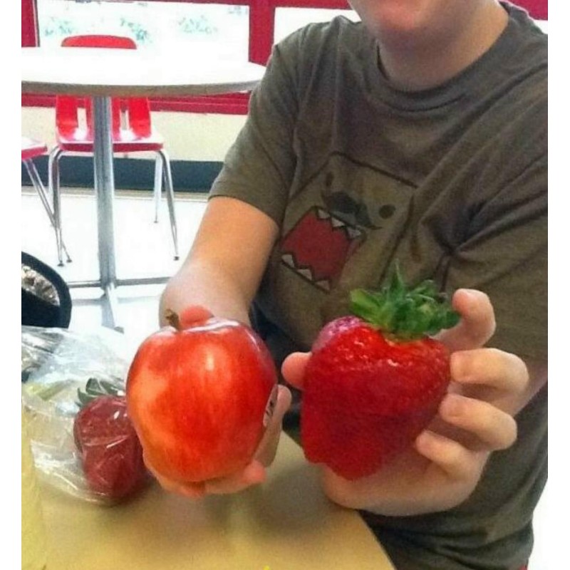 Giant strawberry seeds | Seeds Shop Store