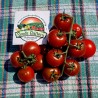 Campari tomato seeds | Seeds Shop Store