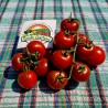 Sementes de tomate Campari | Seeds Shop Store