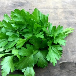 Sementes (6.000) De Salsa Italiana Gigante Plana - 10