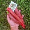 Vezanka Chili Seeds Old Serbian variety | Seeds Shop Store