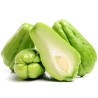 Chayote Zaden (Sechium edule) | Seeds Shop Store