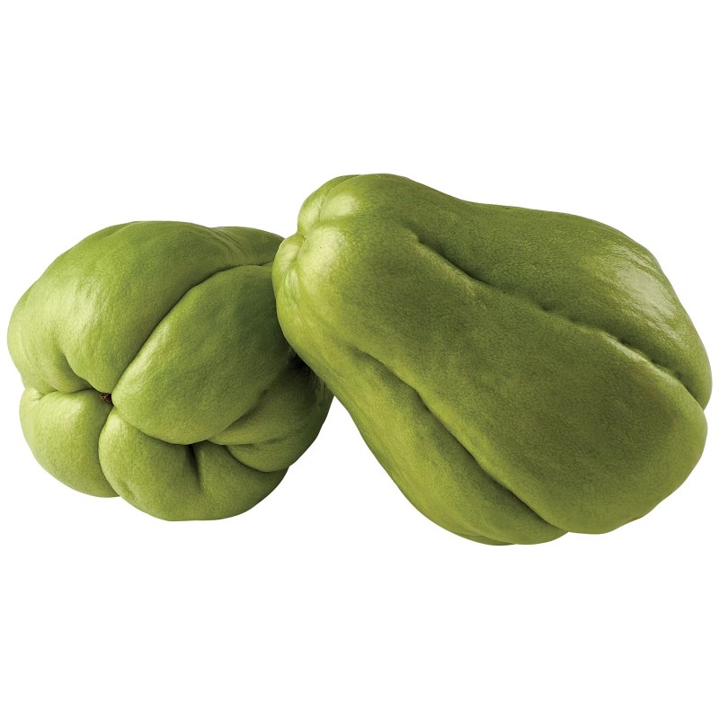 Chayote Zaden (Sechium edule) | Seeds Shop Store