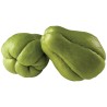 Chayote Zaden (Sechium edule) | Seeds Shop Store