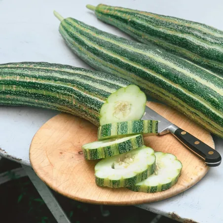Armenian Snake Cucumber Seeds | Seeds Shop Store