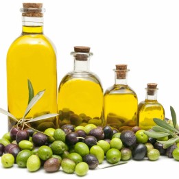 Semena Kalamata olivovníků odrůda Řecko (Olea europaea) - 228.714671