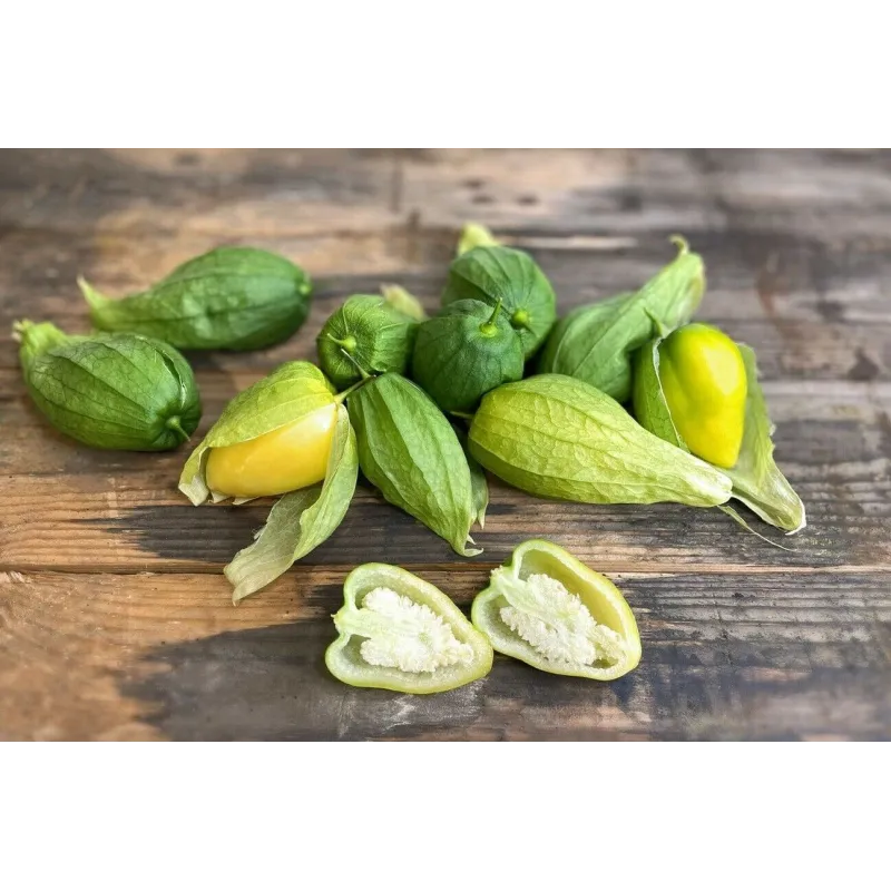 Tomatillo Queen of Malinalco seeds (Phylasis ixocarpa) | Seeds Shop Store