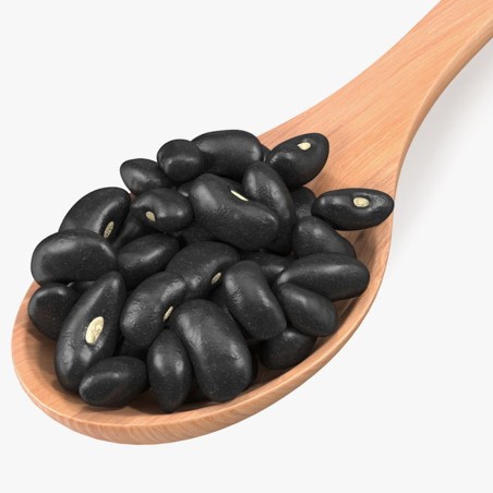 BLACK TURTLE BEAN Seeds | Seeds Shop Store