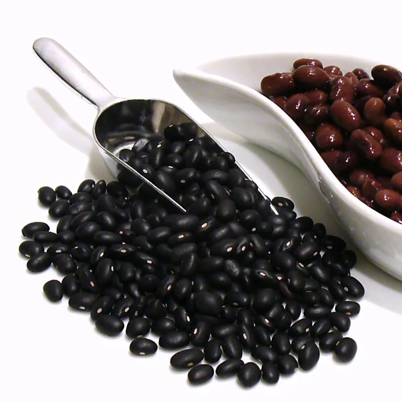 BLACK TURTLE BEAN Seeds | Seeds Shop Store