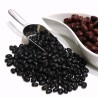 BLACK TURTLE BEAN Seeds | Seeds Shop Store