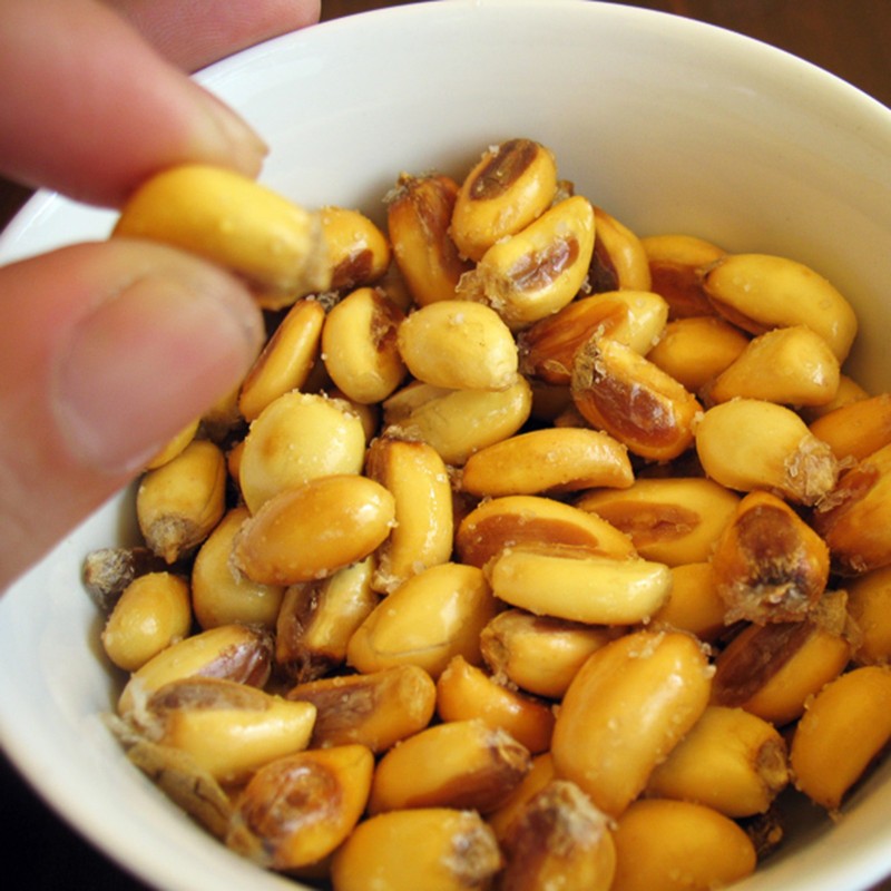 Semi di mais peruviano Chulpe - Cancha Giallo | Seeds Shop Store