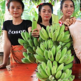 Bornean håriga bananfrön (Musa hirta) - 3.825