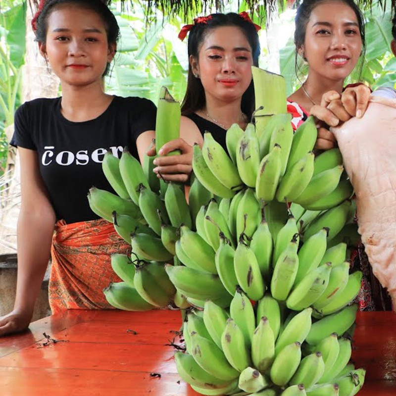 Bornean Hairy Banana Seeds (Musa hirta) | Seeds Shop Store