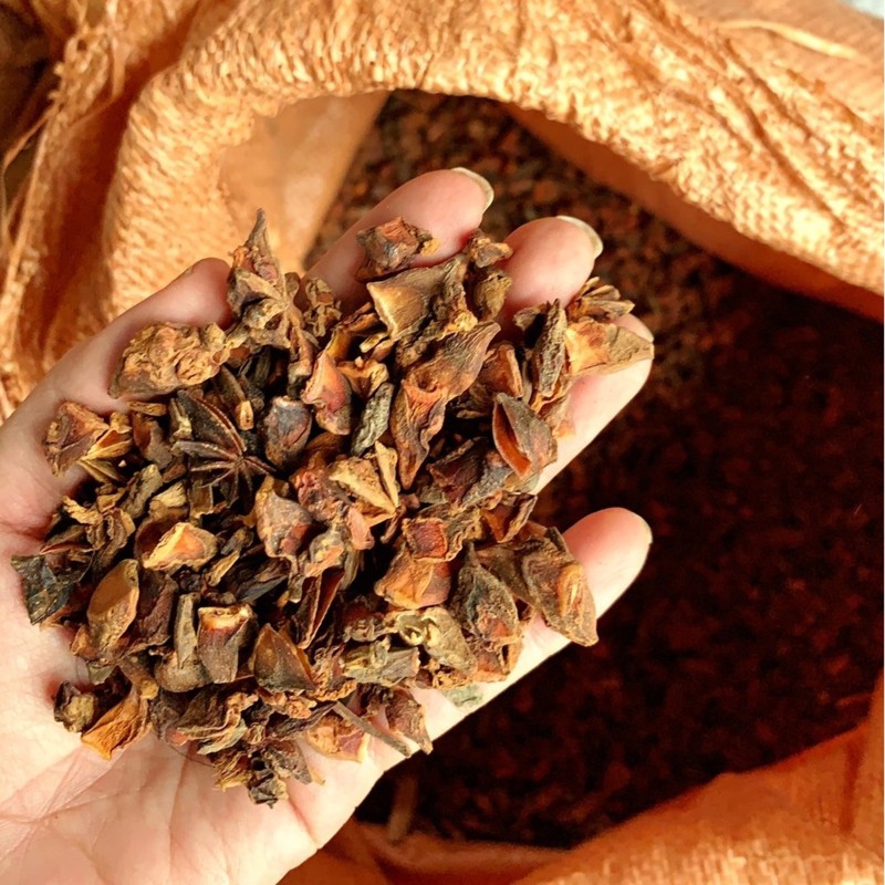 Anis estrelado esmagado - especiaria | Seeds Shop Store