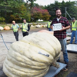 Semi di Zucca Gigante Lumina - 586.447875