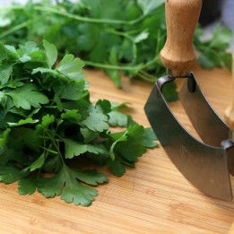 Parsley Seeds Italian Giant Flat Multiannual - 234.57915
