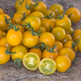 Goldkrone Cherry Tomato Seeds - 1.665