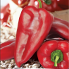 Sementes de pimentão grandes Supernova | Seeds Shop Store