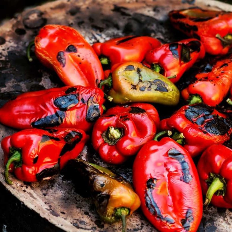 Sementes de pimentão grandes Supernova | Seeds Shop Store