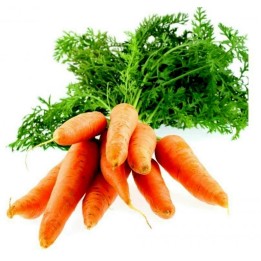 Carrot Nantes 500 seeds - 1.95