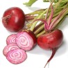 Exotic Beetroot Seeds - Chioggia | Seeds Shop Store