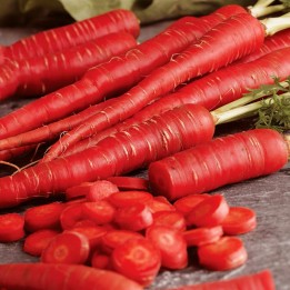 Sementes de cenoura Atomic Red 175.934363