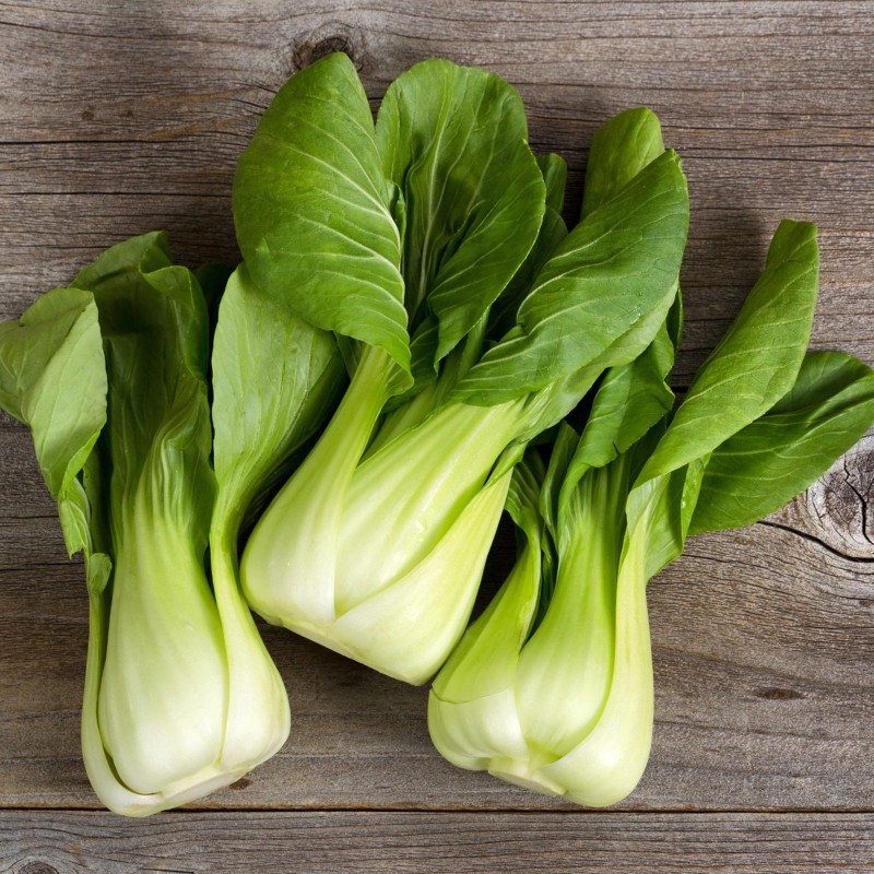 Bok Choy, Pak Choi Seeds | Seeds Shop Store