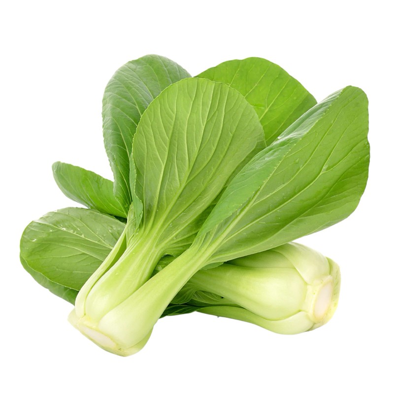 Bok Choy, Pak Choi Seeds | Seeds Shop Store