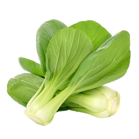 Bok Choy, Pak Choi Seeds | Seeds Shop Store