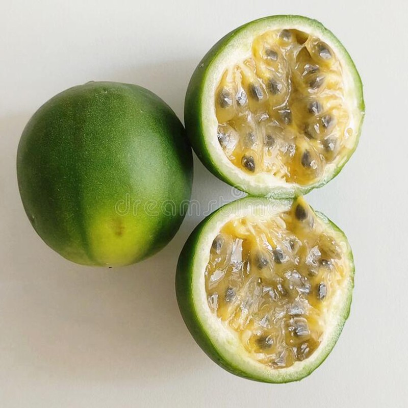 Passiflora cincinnata Seeds | Seeds Shop Store