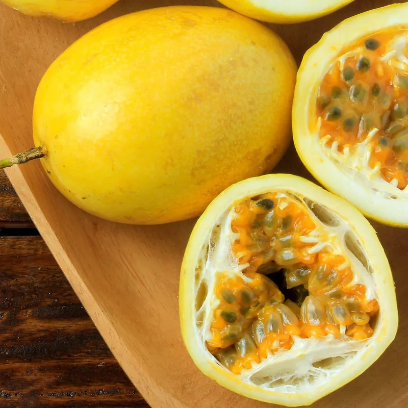 Passiflora serrulata Seeds | Seeds Shop Store