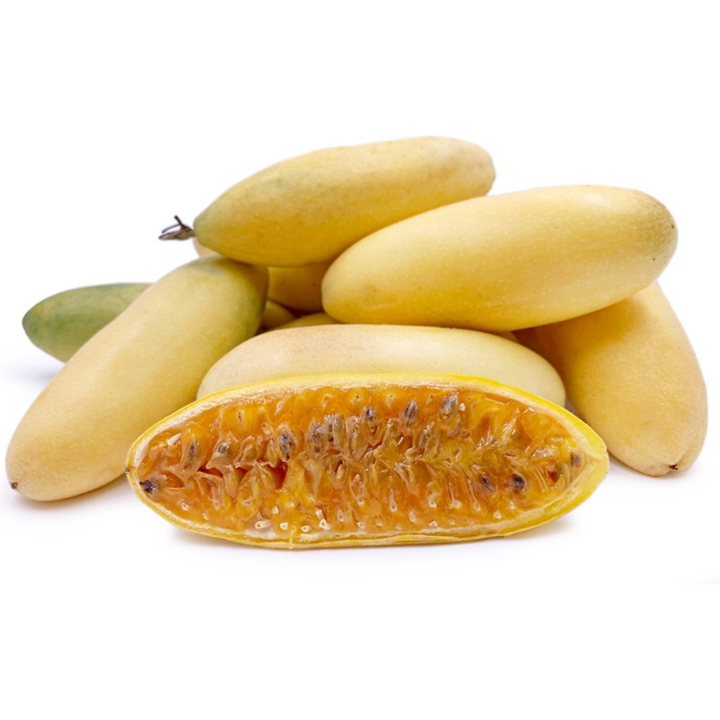 Passiflora tripartita Seeds | Seeds Shop Store