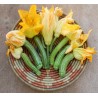 Zucchini seeds Striato d'Italia | Seeds Shop Store